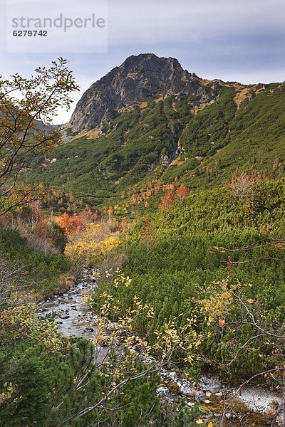 hoch  oben  Europa  Berg  Herbst  Slowakei