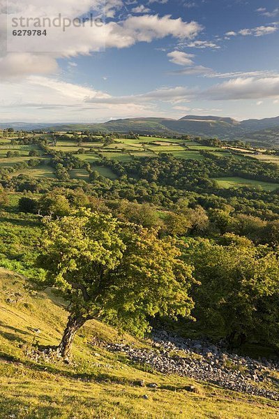 rollen  Europa  Ländliches Motiv  ländliche Motive  Großbritannien  Tal  umgeben  Brecon Beacons National Park  Powys  Wales