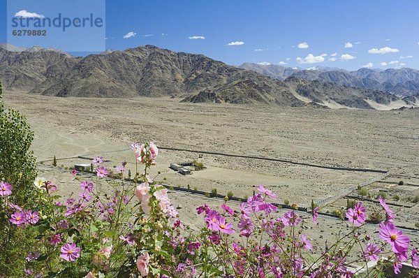 Indus-Tal und Ladakh-Range  Tikse (Tiksay)  Ladakh  indischen Himalaya  Indien  Asien