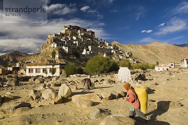 Asien  Indien  Ladakh