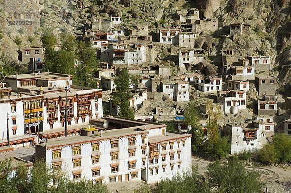 Asien Indien Ladakh