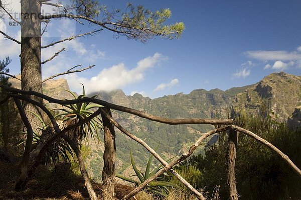 hoch  oben  nahe  Europa  Tal  umgeben  Ansicht  Funchal  Madeira  Portugal