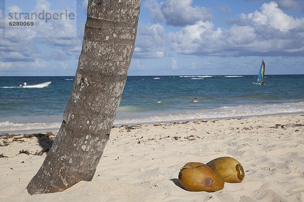 Karibik  Westindische Inseln  Mittelamerika  Dominikanische Republik  Punta Cana