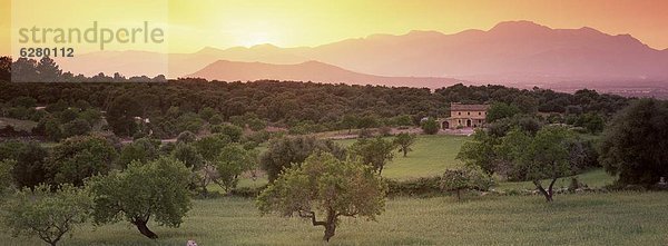 Europa  Berg  Ansicht  Balearen  Balearische Inseln  Mallorca  Spanien