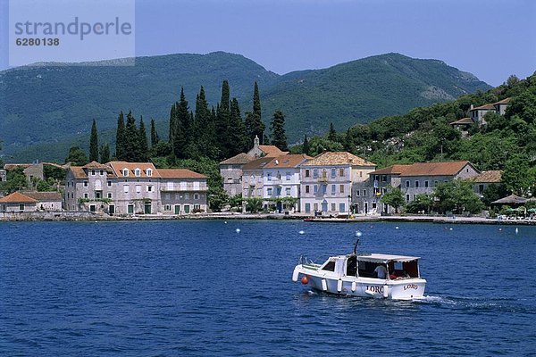 Europa  Bucht  Kotor  Montenegro  Rose