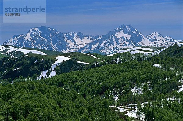 Europa  Eastern Highlands  Montenegro