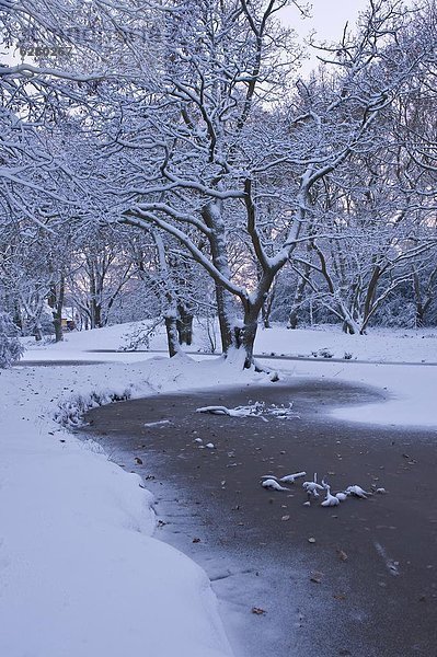Hampstead Heide im Winter  Nord-London  England  Großbritannien  Europa