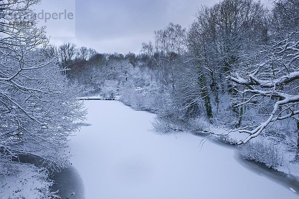 Hampstead Heide im Winter  Nord-London  England  Großbritannien  Europa