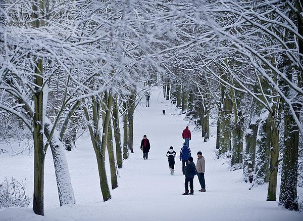 Europa  Großbritannien  England