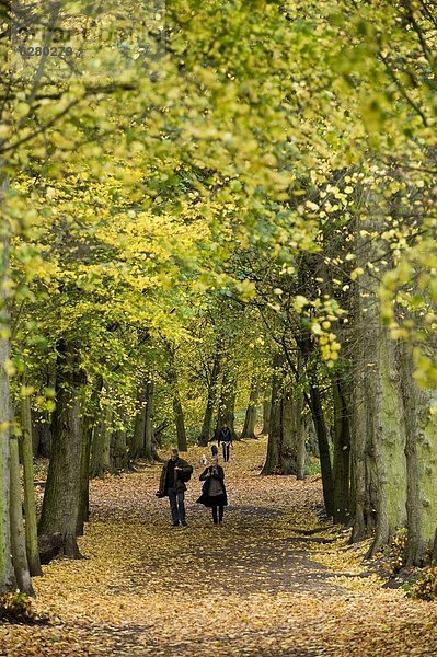 Europa  Großbritannien  Hampstead Heath  England