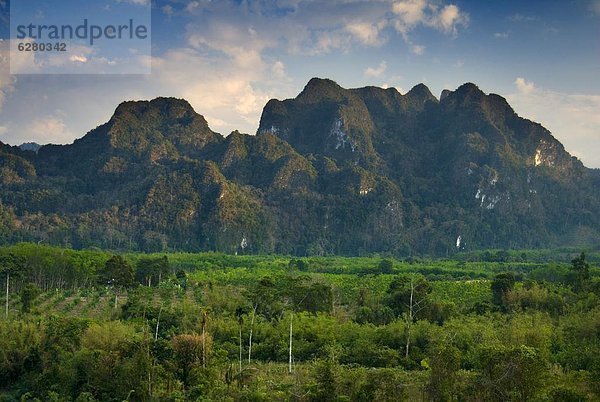 Südostasien  Surat Thani  Asien  Nationalpark Khao Sok  Thailand