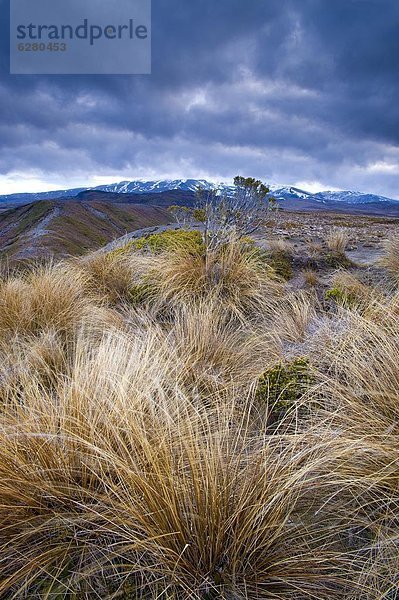 Pazifischer Ozean  Pazifik  Stiller Ozean  Großer Ozean  UNESCO-Welterbe  neuseeländische Nordinsel  Tongariro Nationalpark  Neuseeland