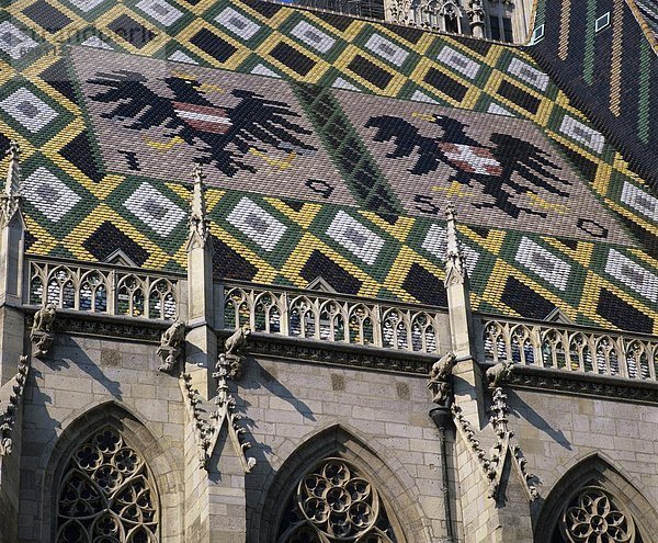 Wien  Hauptstadt  Dach  Europa  Mantel  Kathedrale  UNESCO-Welterbe  Österreich