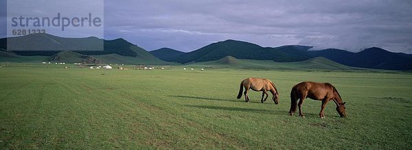 Asien  Zentralasien  Mongolei
