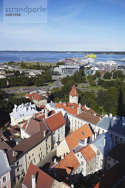 Tallinn Hauptstadt Europa Stadt Hintergrund Fähre Ansicht Estland