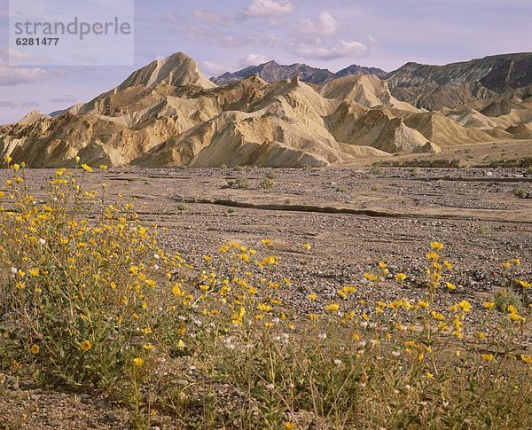 Nordamerika  Zabriskie Point  Death Valley Nationalpark  Kalifornien