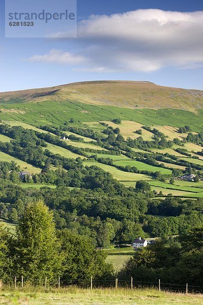 Stift  Stifte  Schreibstift  Schreibstifte  Europa  Berg  Großbritannien  Feld  Brecon Beacons National Park  Powys  Wales