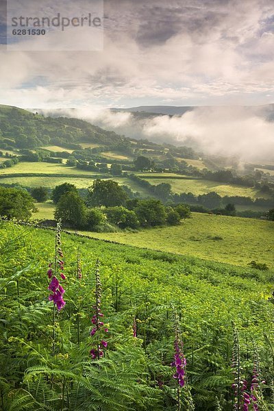 nahe  Europa  Ländliches Motiv  ländliche Motive  Großbritannien  über  Dunst  hängen  Brecon Beacons National Park  Powys  Wales