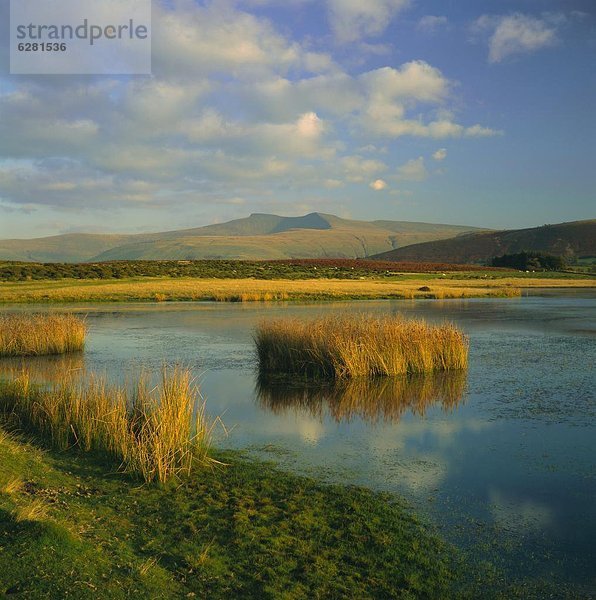 Europa  Großbritannien  Brecon Beacons  Powys  South Wales