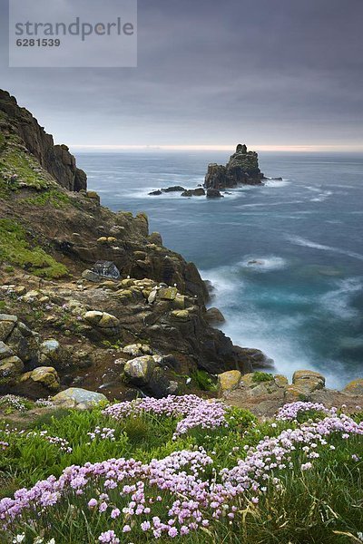 Stapel  Felsbrocken  Europa  sehen  Großbritannien  Steilküste  Wachstum  Ritter  Cornwall  Ende  England  Felssäule