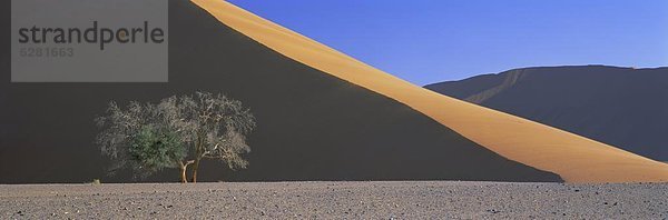 Namibia  Namib  Namib Naukluft Nationalpark  Afrika