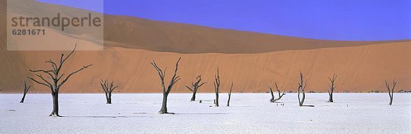 Panorama Sand Ansicht Namibia Namib Düne kahler Baum kahl kahle Bäume Afrika Dead Vlei