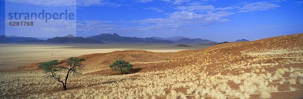 Panorama  Berg  Baum  Landschaft  Wüste  Ansicht  Namibia  Namib Naukluft Nationalpark  Afrika