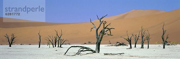 Panorama Sand Ansicht Namibia Namib Naukluft Nationalpark Düne kahler Baum kahl kahle Bäume Afrika Dead Vlei
