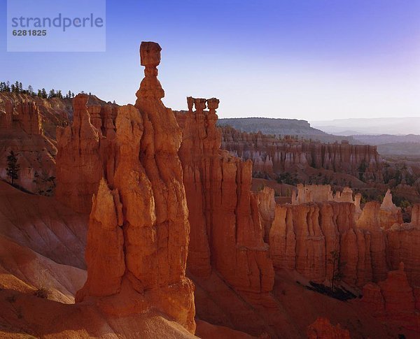 Vereinigte Staaten von Amerika  USA  Nordamerika  Bryce Canyon Nationalpark  Utah