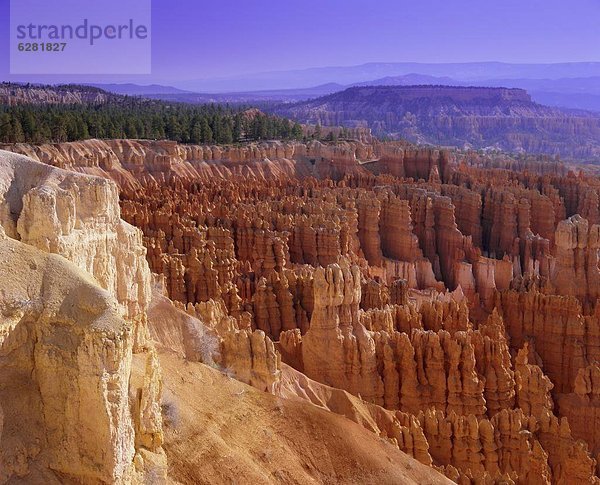 Vereinigte Staaten von Amerika  USA  Nordamerika  Bryce Canyon Nationalpark  Utah