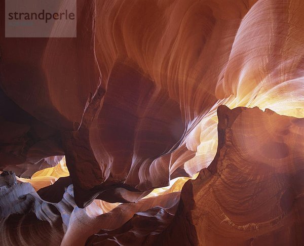 Vereinigte Staaten von Amerika  USA  Nordamerika  Arizona  Antelope Canyon