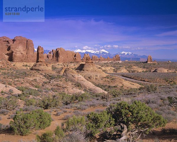 Vereinigte Staaten von Amerika USA Nationalpark Berg Brücke Nordamerika Los Angeles County Utah