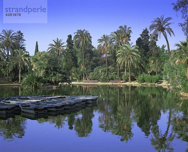 Europa  Barcelona  Spanien