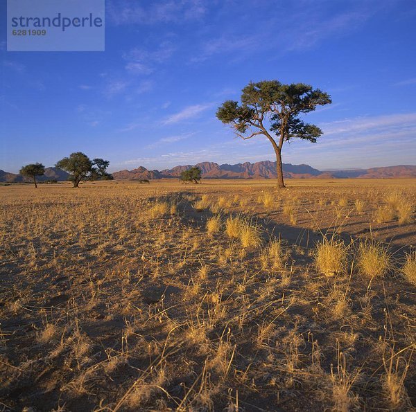 Sesriem  Namib Naukluft Park (Namibia)  Afrika