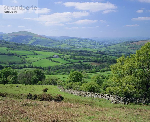 nahe  Europa  Großbritannien  Tal  Feld  Powys  Wales