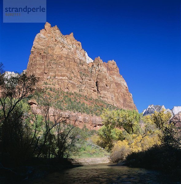 Vereinigte Staaten von Amerika  USA  über  Steilküste  Fluss  rauh  Regenwald  Zion Nationalpark  Sandstein  Utah