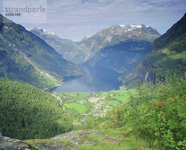 Europa  Norwegen  Ansicht  Erhöhte Ansicht  Aufsicht  heben  Fjord  Geiranger  Skandinavien