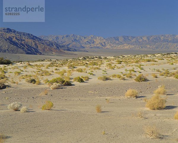 Vereinigte Staaten von Amerika  USA  Nordamerika  Death Valley Nationalpark  Kalifornien