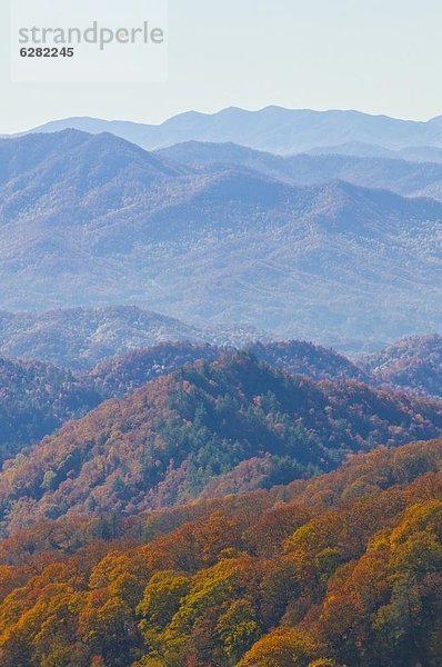 Vereinigte Staaten von Amerika  USA  Sommer  über  Tal  bunt  Indianer  Nordamerika  Ansicht  Great Smoky Mountains Nationalpark  UNESCO-Welterbe  Laub  Tennessee