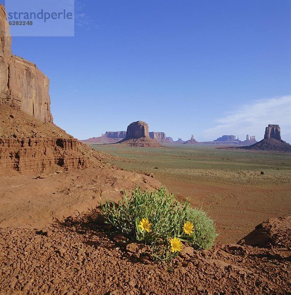 Vereinigte Staaten von Amerika  USA  Nordamerika  Arizona  Monument Valley