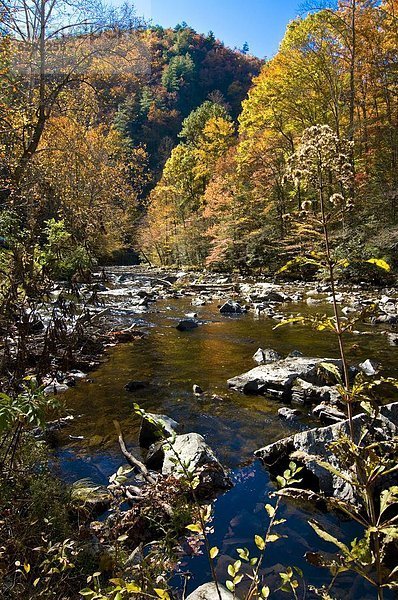 Vereinigte Staaten von Amerika  USA  Sommer  bunt  Fluss  Indianer  Nordamerika  Great Smoky Mountains Nationalpark  UNESCO-Welterbe  Laub  Tennessee