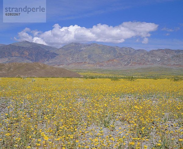 Vereinigte Staaten von Amerika USA Nordamerika Death Valley Nationalpark Kalifornien