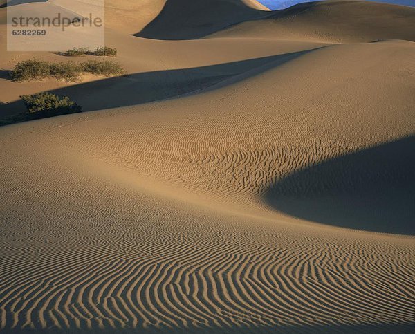 Vereinigte Staaten von Amerika USA Nordamerika Düne Death Valley Nationalpark Kalifornien