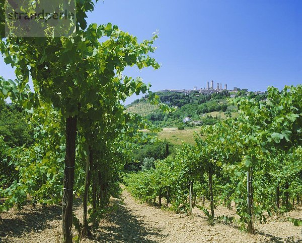 Europa  Stadt  Weinberg  unterhalb  Italien  Toskana