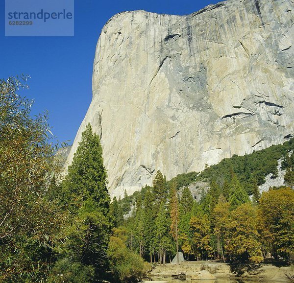 Vereinigte Staaten von Amerika  USA  Nordamerika  Yosemite Nationalpark  El Capitan  Kalifornien