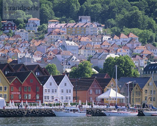 Europa Norwegen Bergen Skandinavien