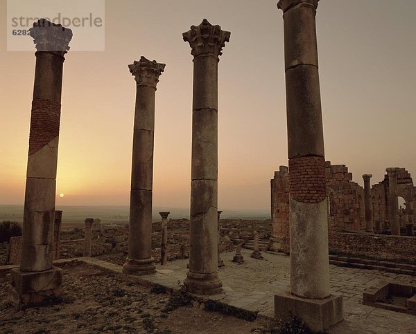 Nordafrika  Afrika  Marokko  Volubilis