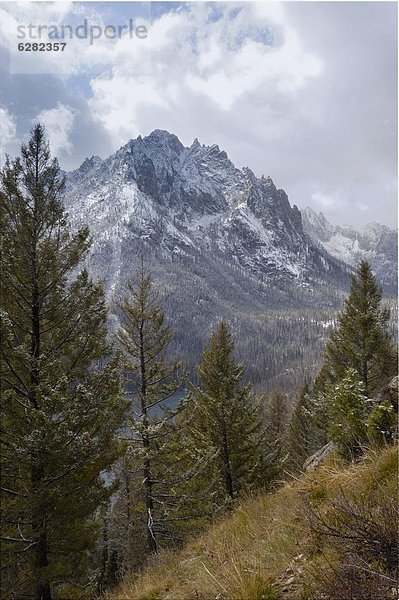 Vereinigte Staaten von Amerika  USA  Nordamerika  Rocky Mountains  Idaho