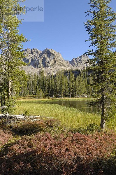 Vereinigte Staaten von Amerika  USA  Farbaufnahme  Farbe  See  Nordamerika  Rocky Mountains  Idaho  Sawtooth National Recreation Area