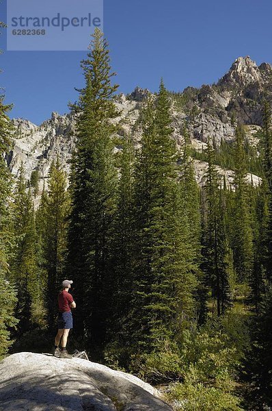 Vereinigte Staaten von Amerika  USA  Nordamerika  Rocky Mountains  Idaho  Sawtooth National Recreation Area